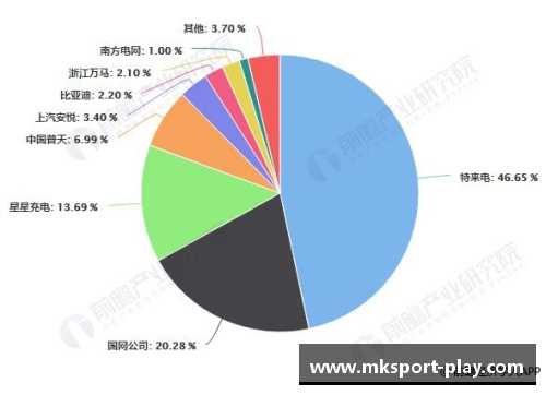 MK体育球员整容位置分析与应用技术发展趋势